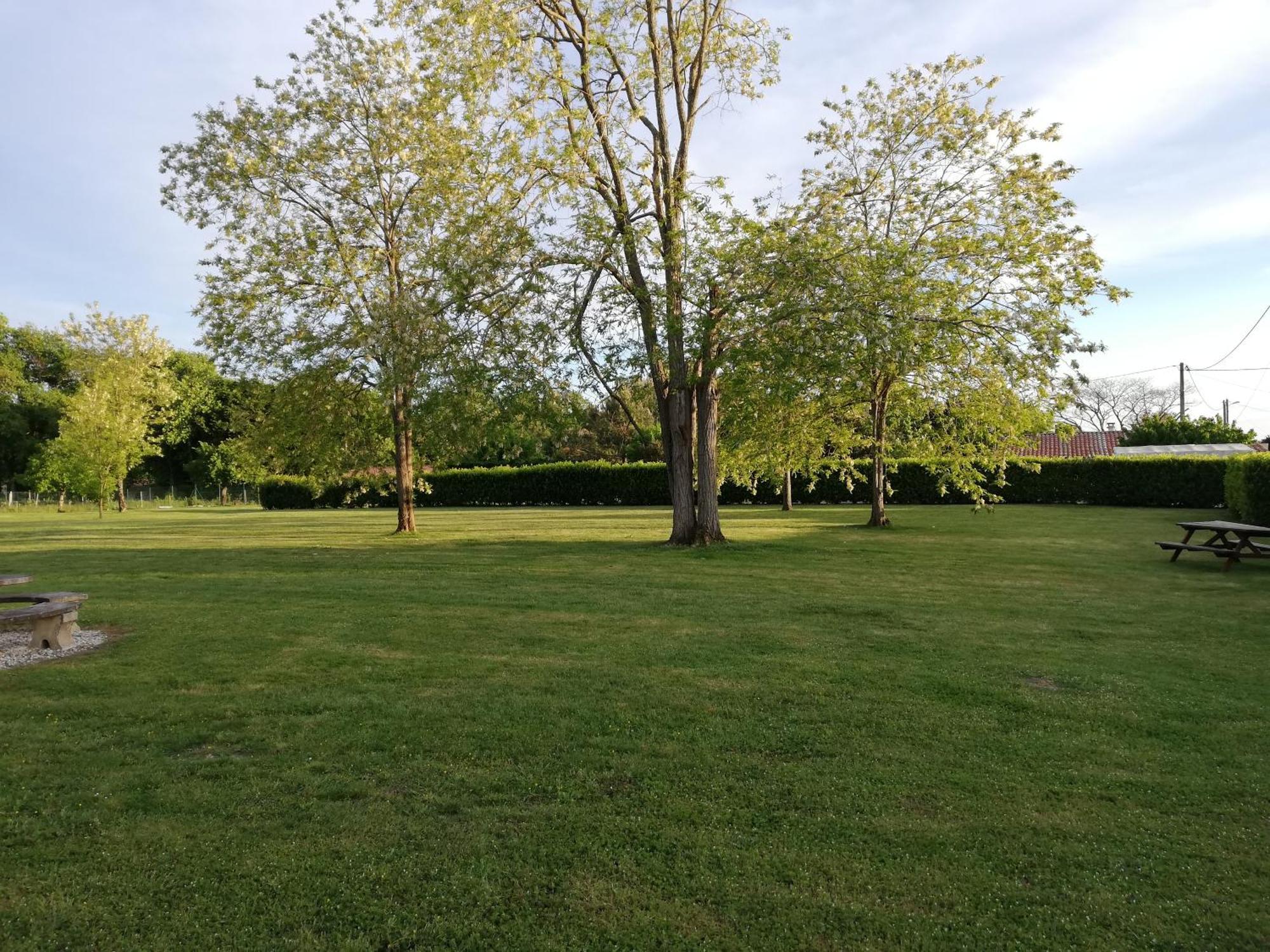 Jau-Dignac-et-Loirac La Mancine Laulan Bed & Breakfast エクステリア 写真