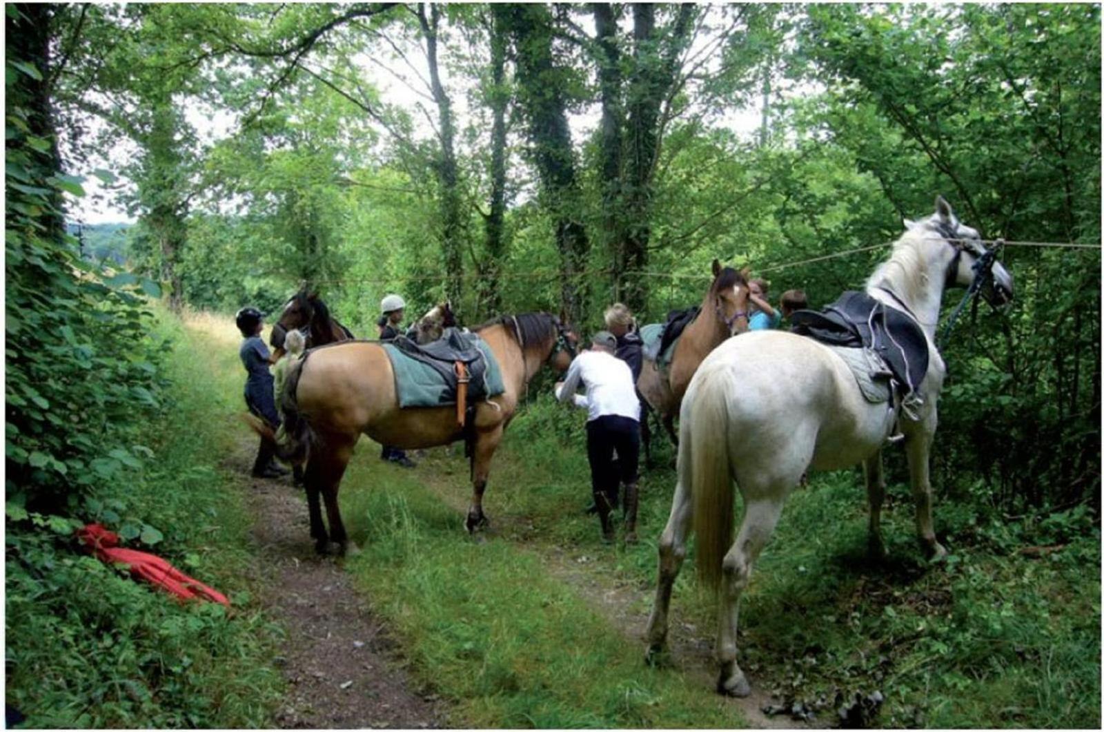 Jau-Dignac-et-Loirac La Mancine Laulan Bed & Breakfast エクステリア 写真